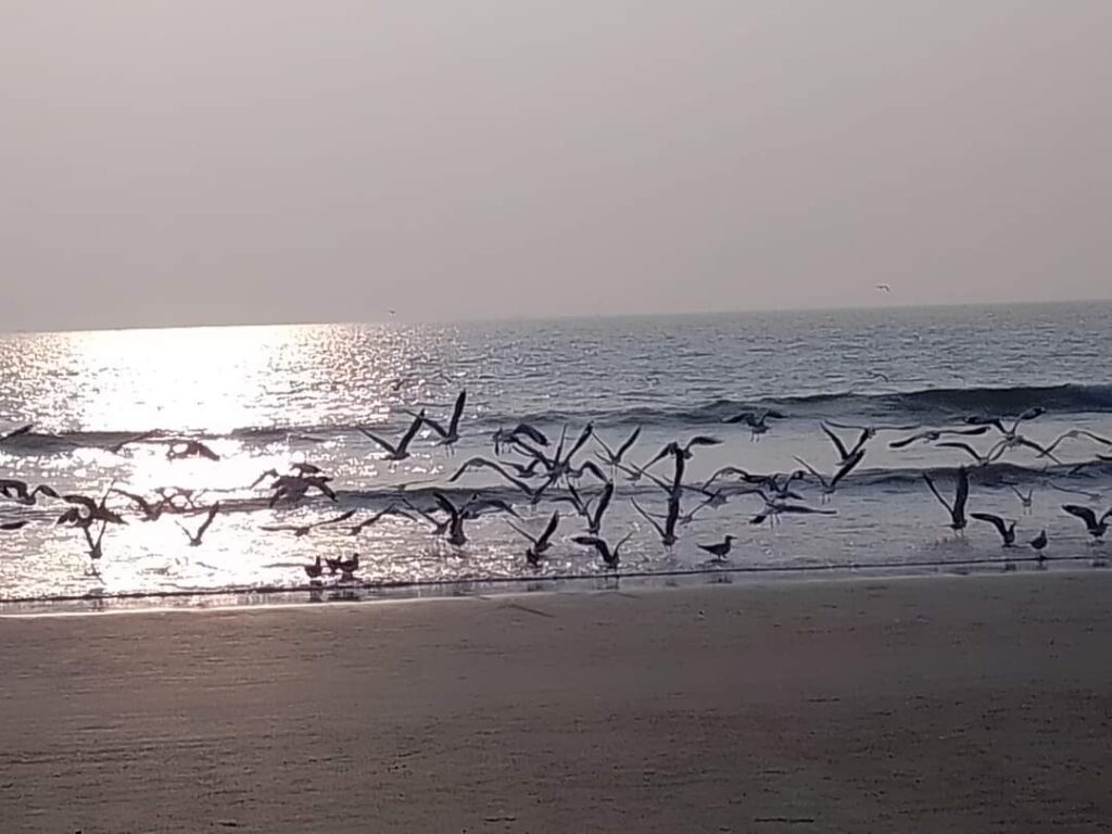 Goa Beach