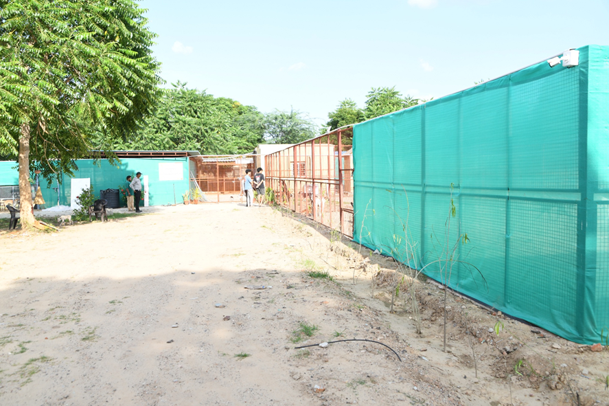 Dog-Sanctuary-Photos-10