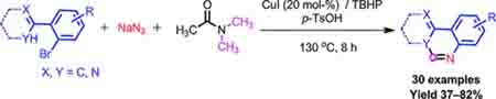 Eur_J_Org_Chem_31-1
