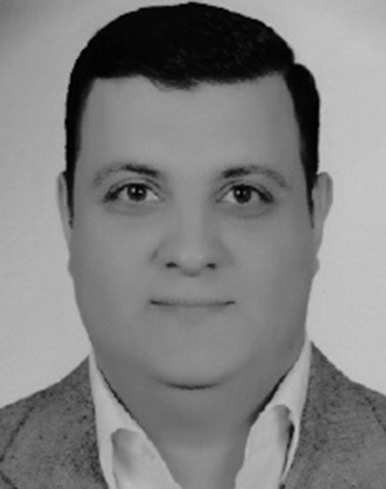 Prof. Mohamed Atef Elsayed Abdelaal
