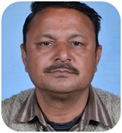 Mr. Raj Kumar Saini