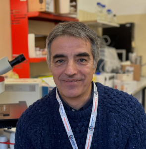 Profile photo of Prof. Michele Morari