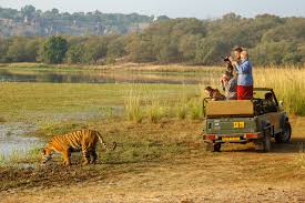 Ranthambhore National Park