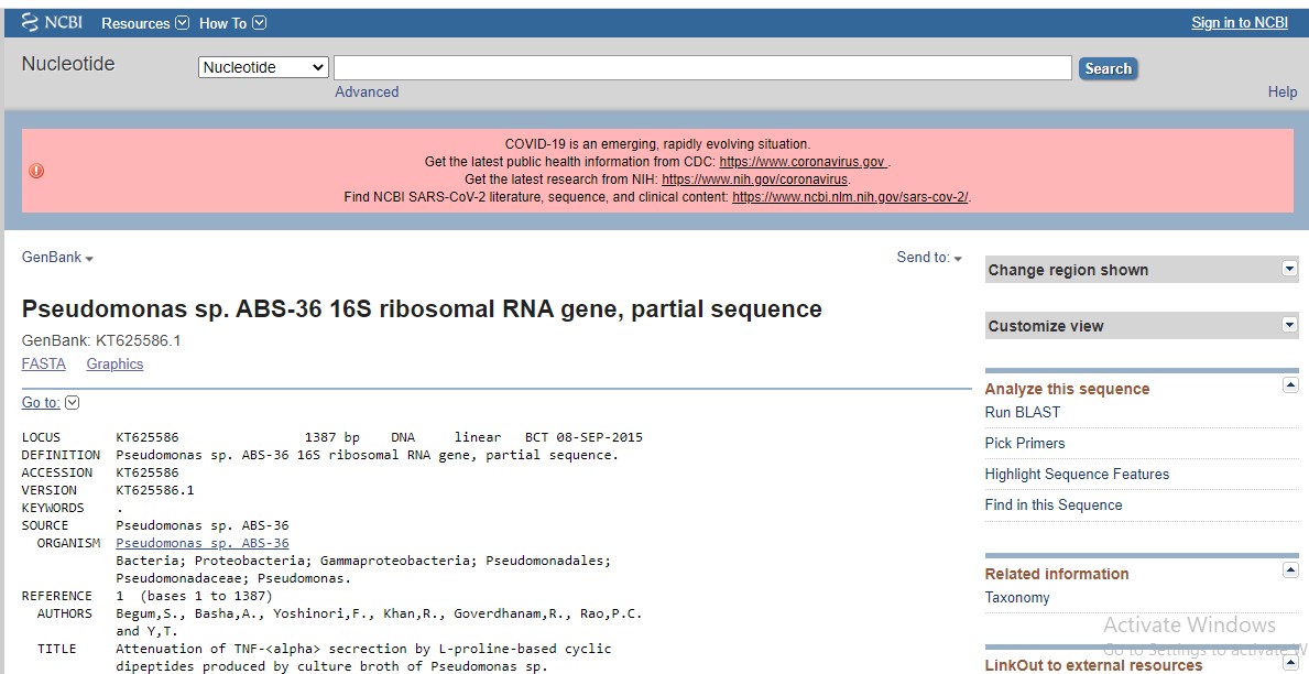 SBM P7