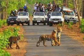 Sariska Tiger Reserve