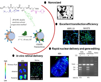 CRISPR Nanomedicines for therapeutic and diagnostic applications
