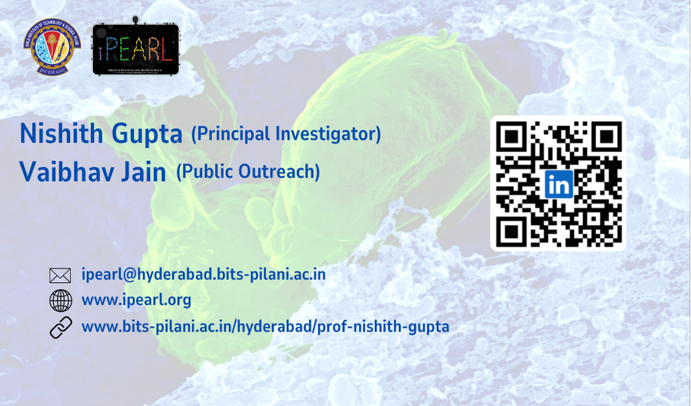 iPEARL Contact Card 3