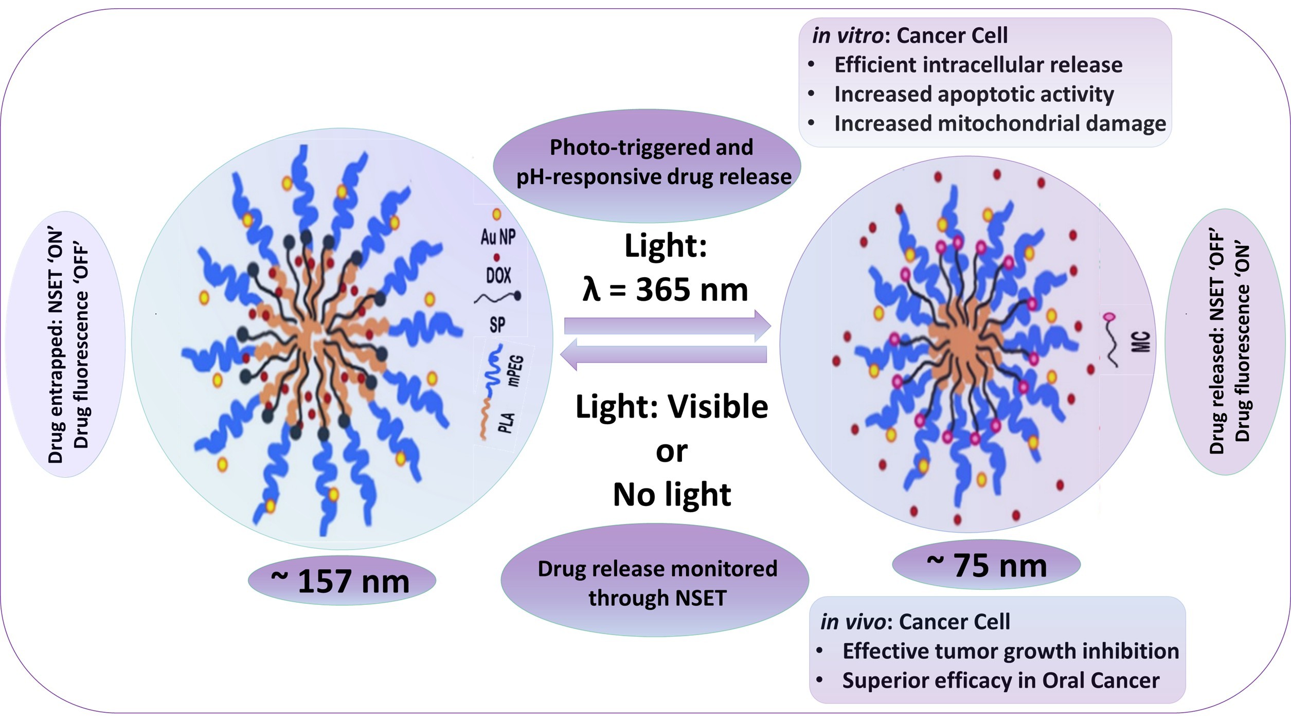 calf thymus DNA by a potential one-head-two-tail surfactant