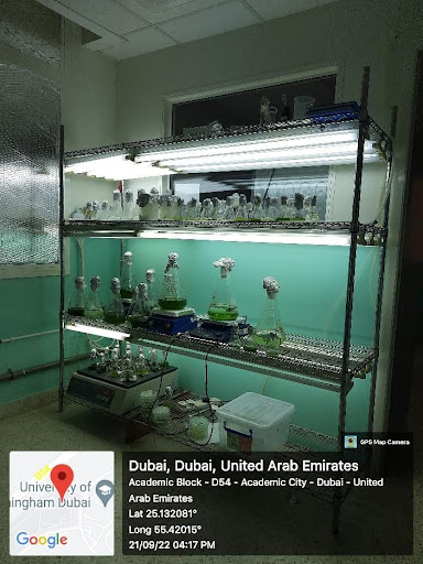 phd biotechnology in uae