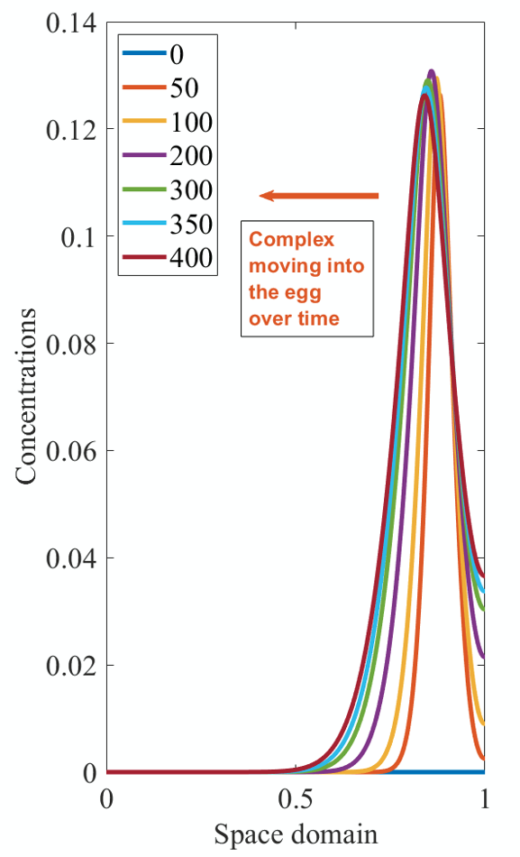 wsols_annotated